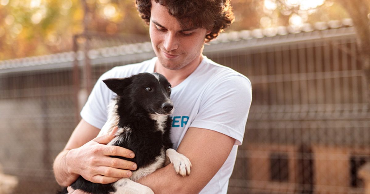 10 razones por las que deberías adoptar un perro de refugio