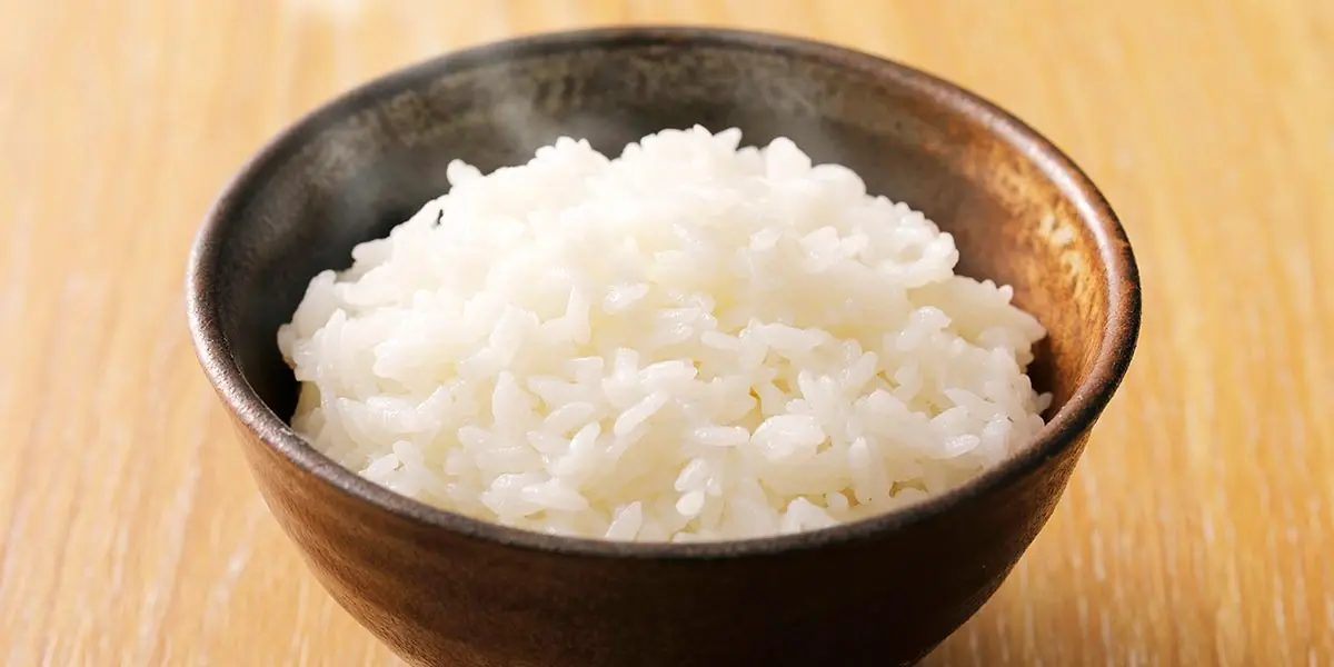 ¿El arroz blanco puede ser beneficioso para tu mascota?