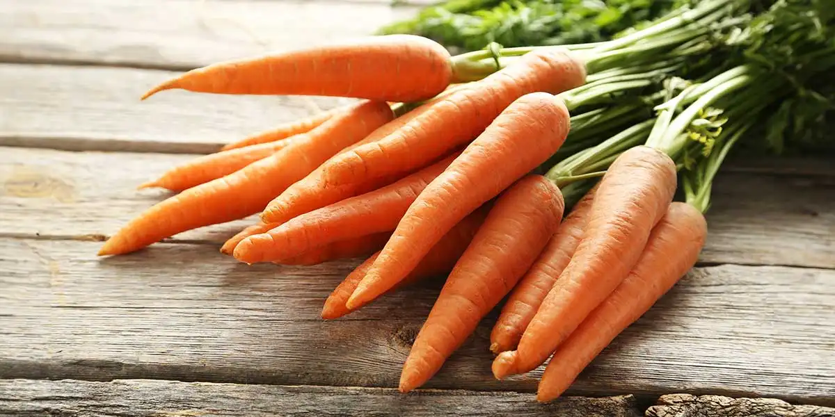 ¿Las zanahorias son buenas para las mascotas?
