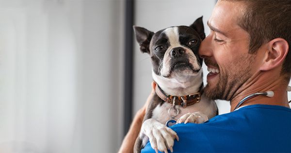 10 formas de eliminar el miedo a las visitas al veterinario