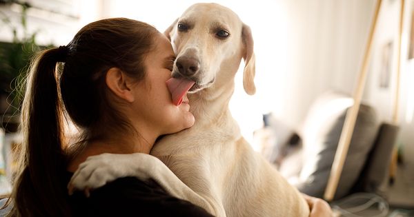 ¿Tu perro puede distinguir entre las intenciones buenas y malas?