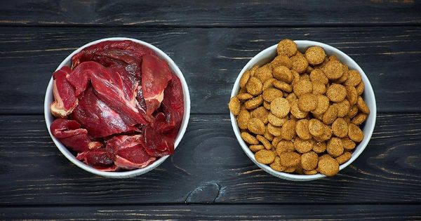 Lo que debes saber acerca de las croquetas de carne fresca