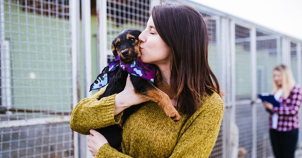 Adoptar una mascota de un refugio de animales