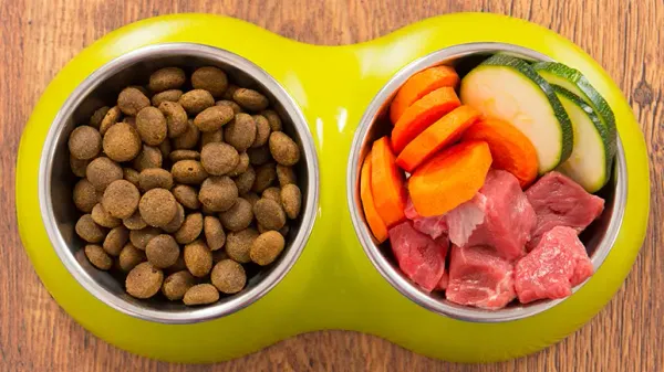 ¿Tu mascota necesita alimentos "biológicamente apropiados"?