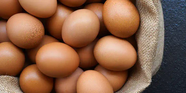 Huevo: un superalimento muy nutritivo para las mascotas